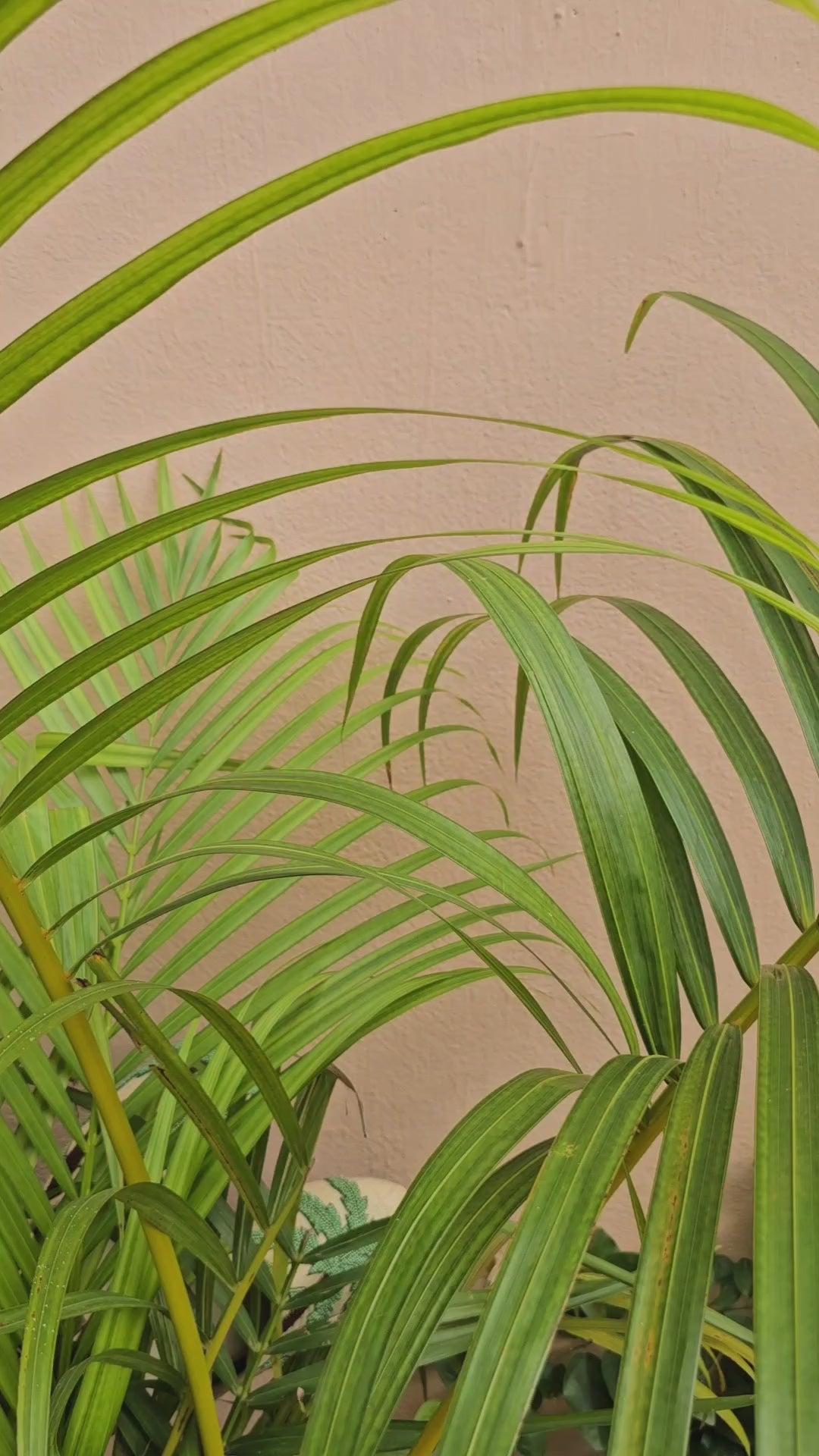 Beige embroidered mules for casual brunch and lunch gathering